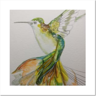 Humming Bird Posters and Art